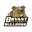 Bryant University Bulldogs